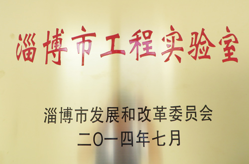 2014年淄博（bó）市工程實驗（yàn）室