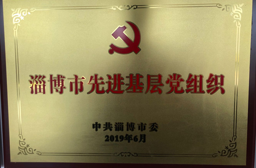 2019年淄博市（shì）先進基（jī）層黨組織
